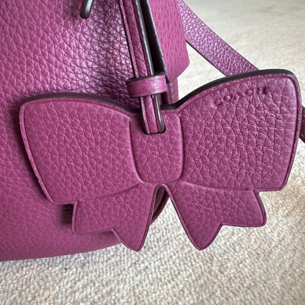 Coach Terri Bow Bag (Pink)